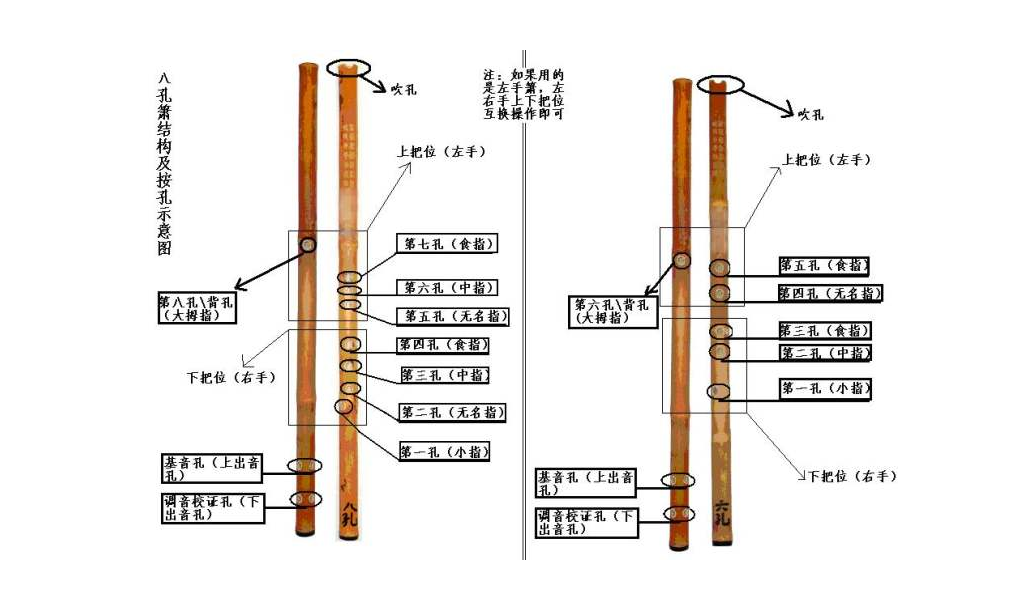 3演奏方法 洞箫为次中音乐器,音区比曲笛低纯四度,音域与笛子相似.