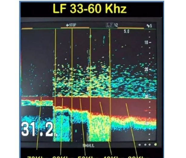 探鱼器原理是什么 探鱼器在筏钓使用中常见问题解答