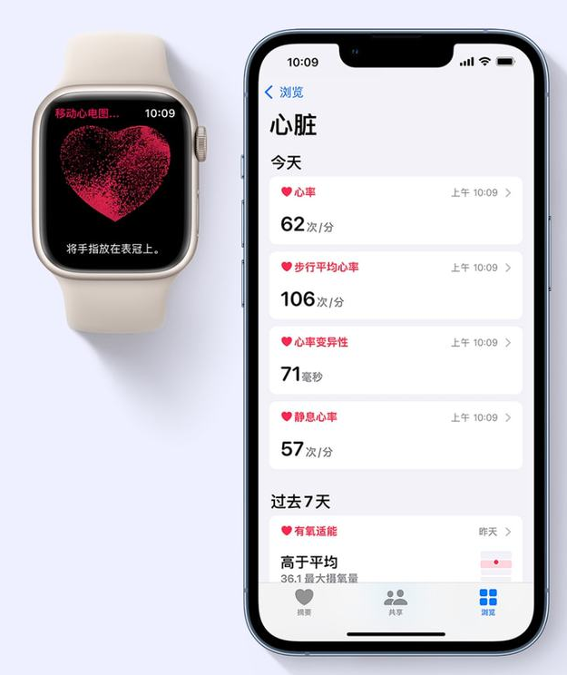 苹果国行版正式上线 ECG 功能，健康信息一目了然